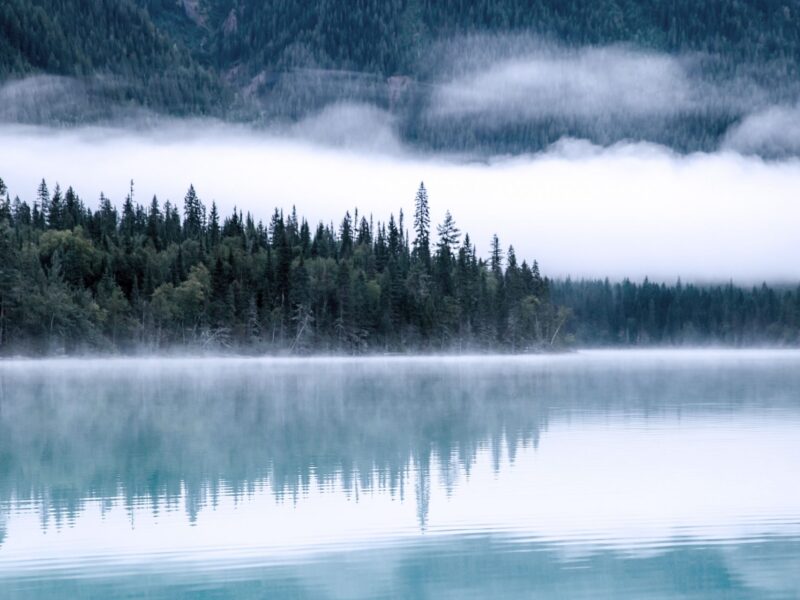 Salmon: Restaurant WordPress Theme